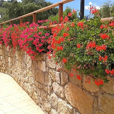 Riccio Hotel 3*
