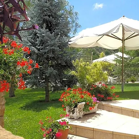 Hotel Riccio 3*